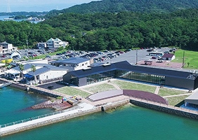 mio camino AMAKUSAの画像